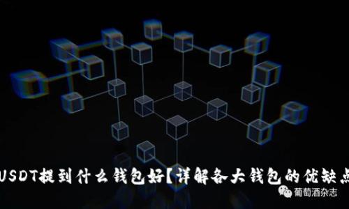 USDT提到什么钱包好？详解各大钱包的优缺点