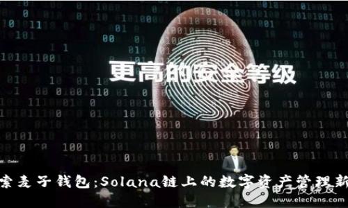 : 探索麦子钱包：Solana链上的数字资产管理新选择