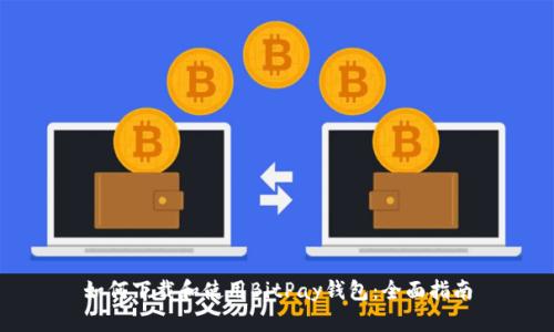 如何下载和使用BitPay钱包：全面指南