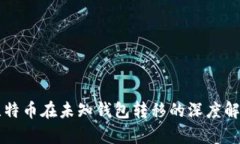 比特币在未知钱包转移的
