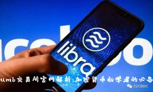 Bithumb交易所官网解析：加密货币初学者的必备指南