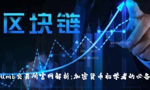 Bithumb交易所官网解析：加密货币初学者的必备指南