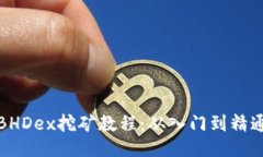 BHDex挖矿教程：从入门到精