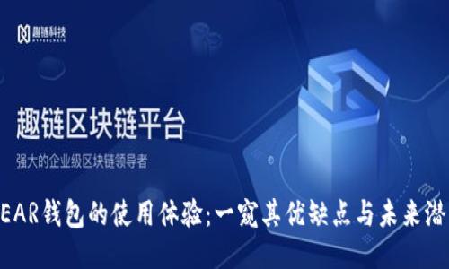 NEAR钱包的使用体验：一窥其优缺点与未来潜力
