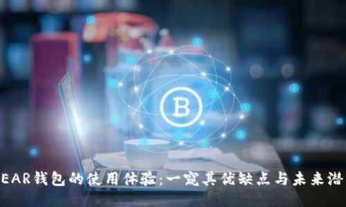 NEAR钱包的使用体验：一窥其优缺点与未来潜力