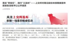 瑞波币手机钱包的选择与