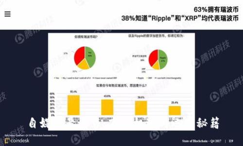 自媒体号出售：商业机遇与运营秘籍