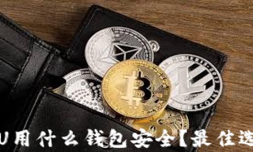 
现在转U用什么钱包安全？最佳选择解析