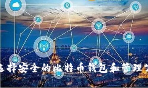 如何选择安全的比特币钱包和管理公网IP