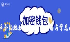 USDT代币合约地址查询：全