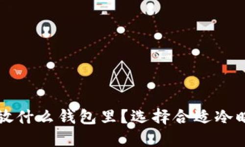 买了比特币放什么钱包里？选择合适冷暖钱包的技巧