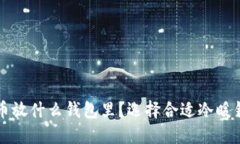 买了比特币放什么钱包里