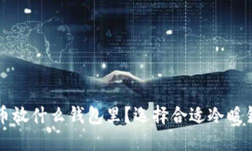 买了比特币放什么钱包里？选择合适冷暖钱包的技巧