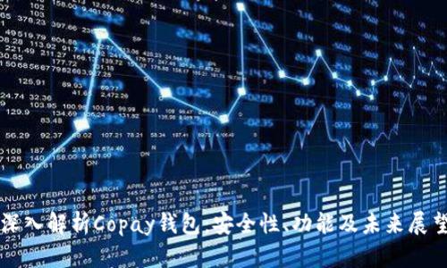 深入解析Copay钱包：安全性、功能及未来展望