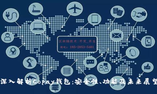 深入解析Copay钱包：安全性、功能及未来展望