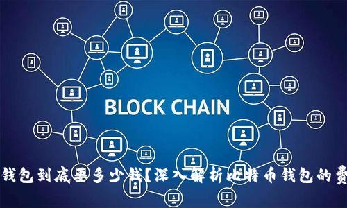 比特币钱包到底要多少钱？深入解析比特币钱包的费用结构