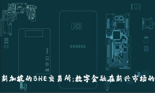 探索新加坡的BHE交易所：数字金融在新兴市场的未来