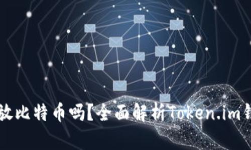Token.im钱包能放比特币吗？全面解析Token.im钱包的功能与特点