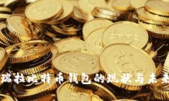 委内瑞拉比特币钱包的现状与未来展望