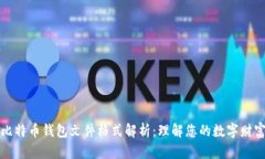 比特币钱包文件格式解析