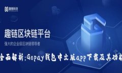 全面解析：Gopay钱包中文版app下载及其功能