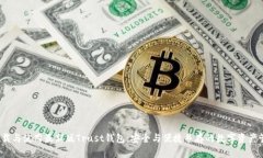  如何下载与使用最新版