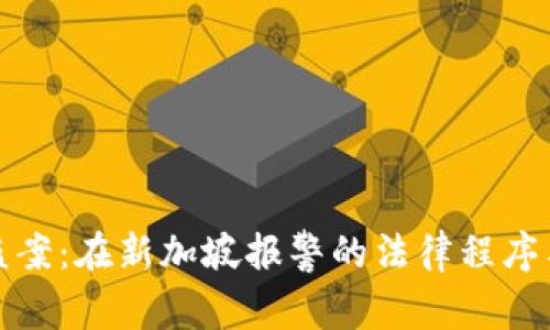 比特派被盗案：在新加坡报警的法律程序与应对措施