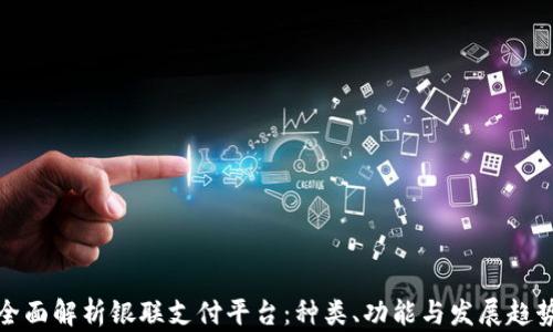 
全面解析银联支付平台：种类、功能与发展趋势