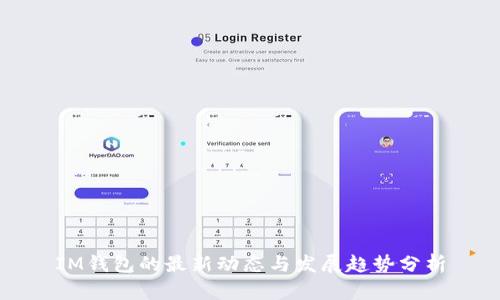 IM钱包的最新动态与发展趋势分析