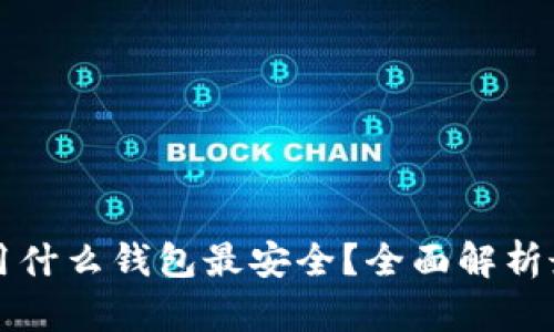 虚拟币用什么钱包最安全？全面解析最佳选择
