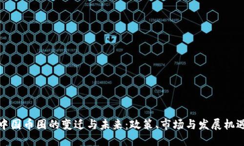 中国币圈的变迁与未来：政策、市场与发展机遇