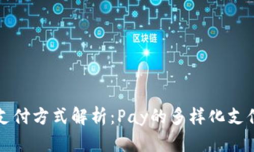 现代支付方式解析：Pay的多样化支付方式