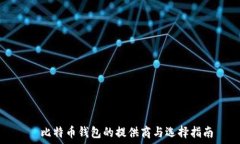    比特币钱包的提供商与