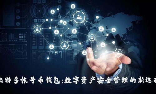 比特多帐号币钱包：数字资产安全管理的新选择