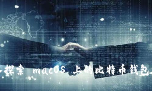 深入探索 macOS 上的比特币钱包文件