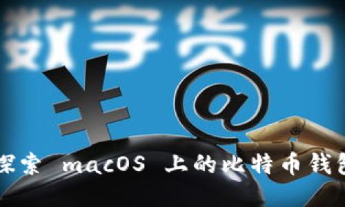 深入探索 macOS 上的比特币钱包文件