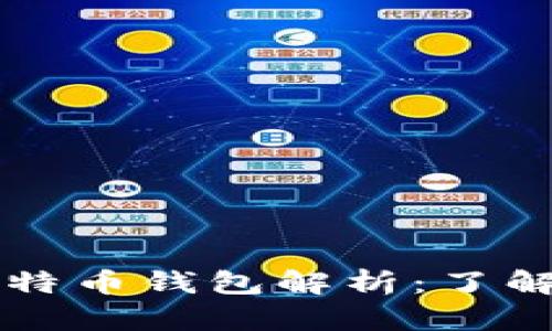 多样化比特币钱包解析：了解你的选择