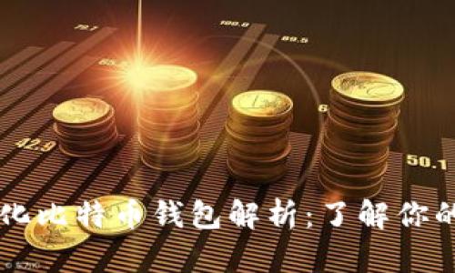 多样化比特币钱包解析：了解你的选择