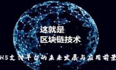 H5支付平台的未来发展与应用前景