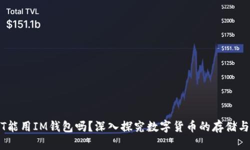 USDT能用IM钱包吗？深入探究数字货币的存储与使用