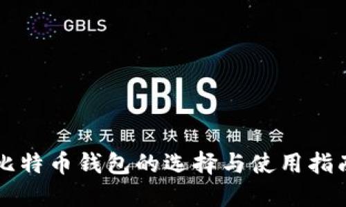 比特币钱包的选择与使用指南