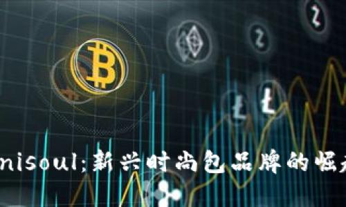Unisoul:新兴时尚包品牌的崛起