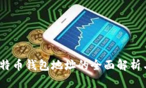 :新比特币钱包地址的全面解析与应用