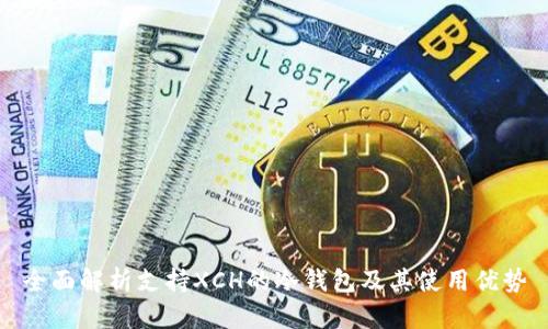全面解析支持XCH的冷钱包及其使用优势