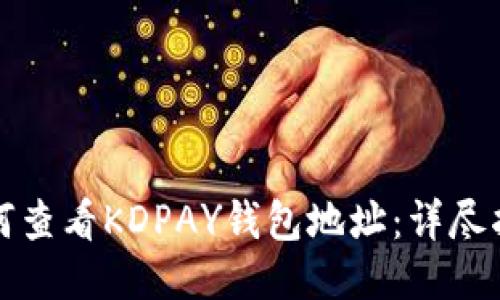 如何查看KDPAY钱包地址:详尽指南