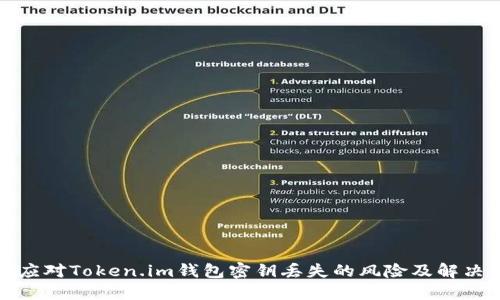 如何应对Token.im钱包密钥丢失的风险及解决方案