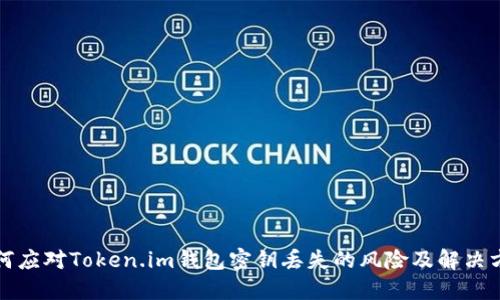 如何应对Token.im钱包密钥丢失的风险及解决方案