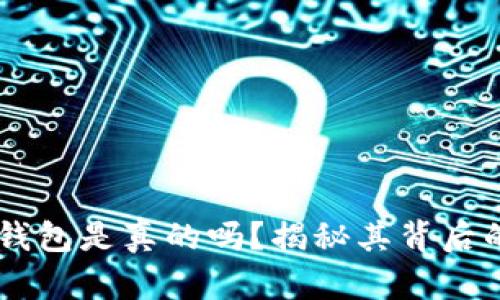 Plus Token钱包是真的吗?揭秘其背后的真相与影响
